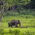 taman nasional terbaik di Indonesia