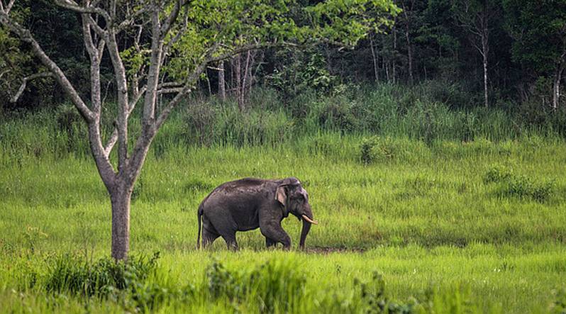 taman nasional terbaik di Indonesia