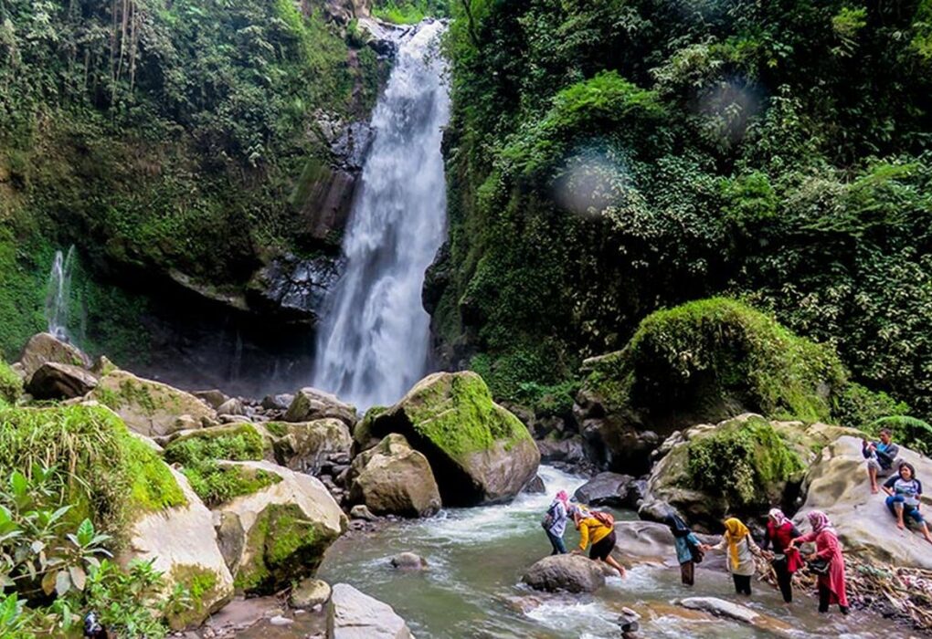 tips liburan ke hutan dan air terjun