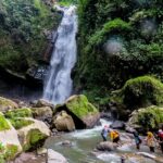 tips liburan ke hutan dan air terjun