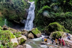 tips liburan ke hutan dan air terjun